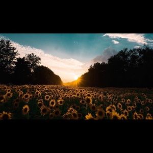 Meet your Posher, Echo